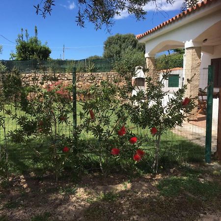 Azienda Multifunzionale S'Ozastro Маринела Екстериор снимка